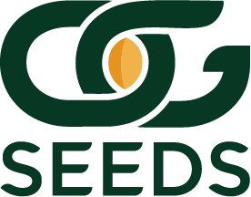 ogseeds