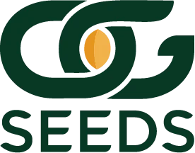 OG Seeds