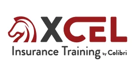 XCEL Solutions