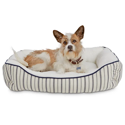 Petco: 20% OFF $50 or More When You Buy Online & Pick Up In-Store