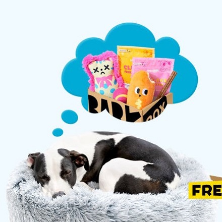 BarkBox: Explore Our Plans 1 Month $35, 6 Month $25, 12 Month $20