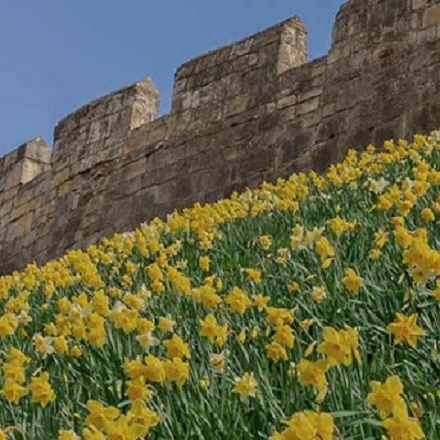 National Express UK: Great Value Coach Fares to 100s Of Destinations This Spring