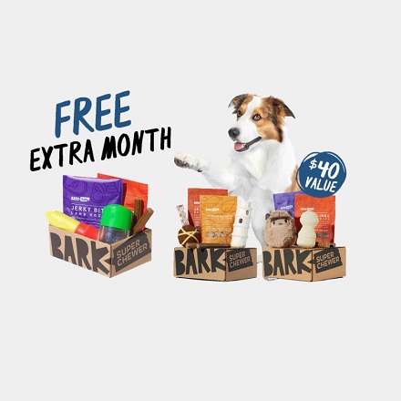 Super Chewer: Free Extra Month when you subscribe to a 6- or 12- month subscription