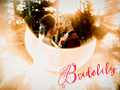 bridelily