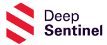 deepsentinel