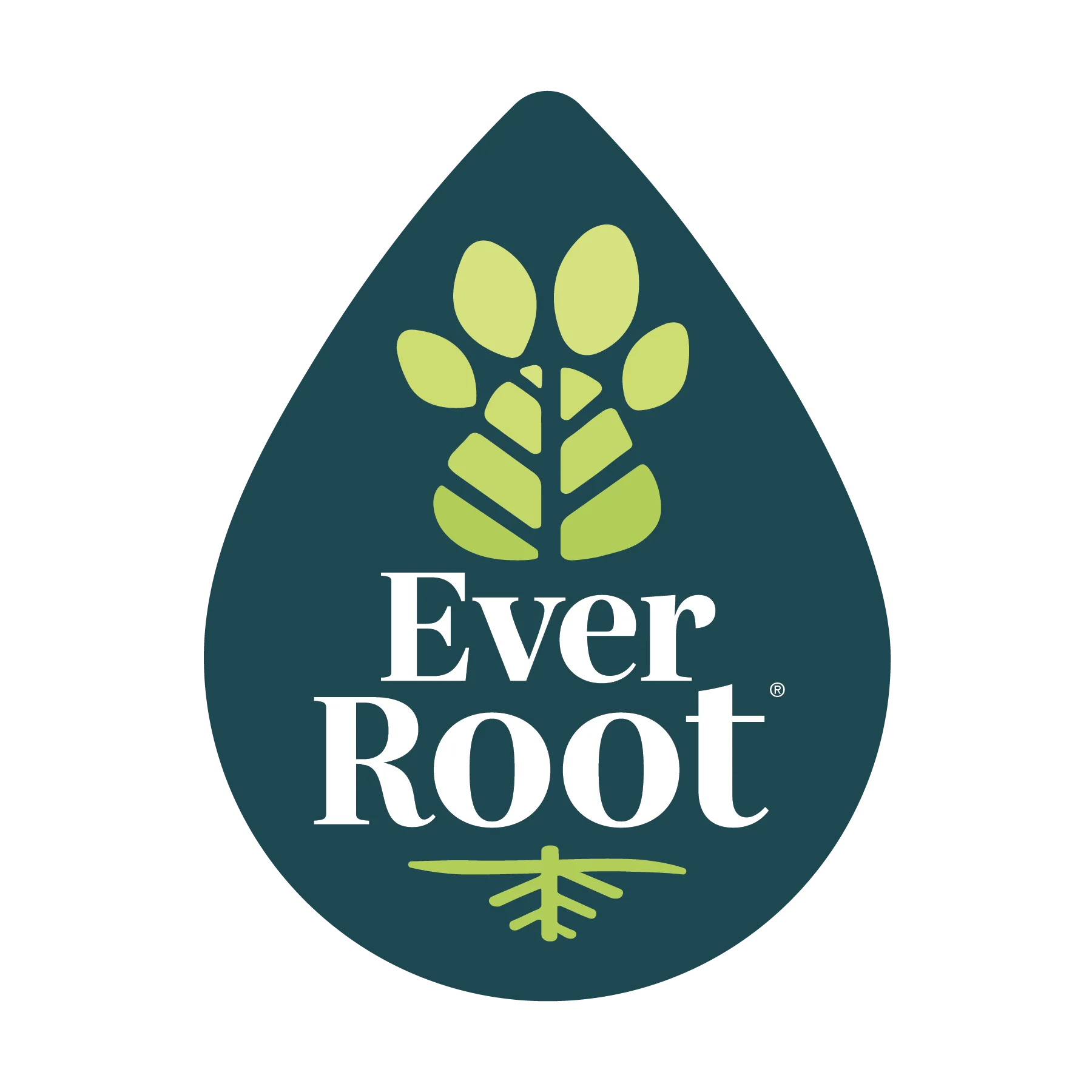 EverRoot