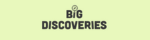 bigdiscoveries