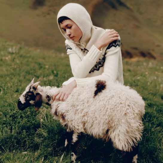 LilySilk: 70% Wool, 30% Cashmere Items