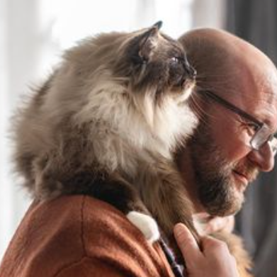 Hill's Pet Nutrition US: Free Shipping on Orders Over $50, 35% OFFyour first Auto Ship Order