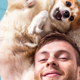 EntirelyPets: Father's Day Sale 20% OFF Sitewide
