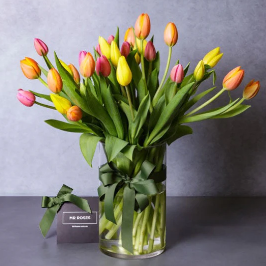 Mr Roses APAC: Terrific Tulips