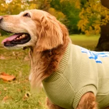 PetSmart: Fall Savings Event