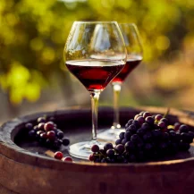 Total Wine: Save Up to 25% on Select Wines