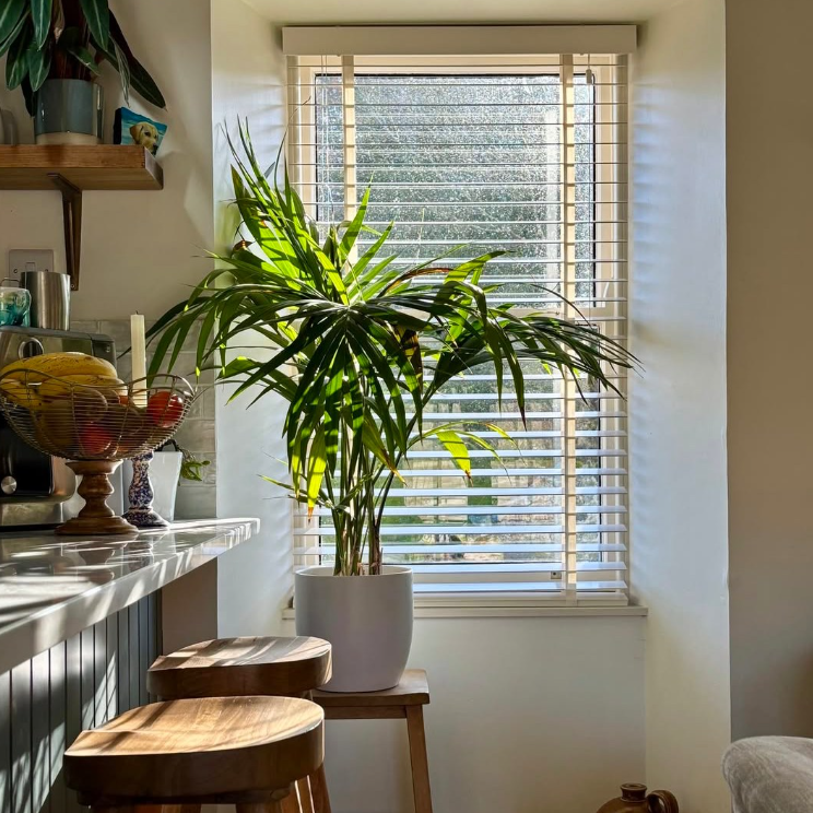 Blindsbypost: £20 OFF Orders Over £200