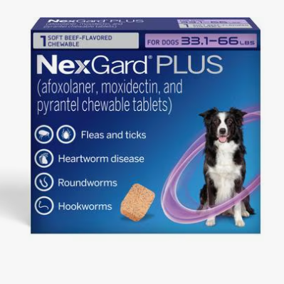 Chewy: NexGard PLUS Chewables for Dogs