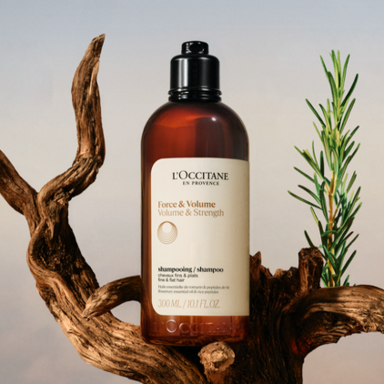 L'Occitane US Volume & Strength Shampoo