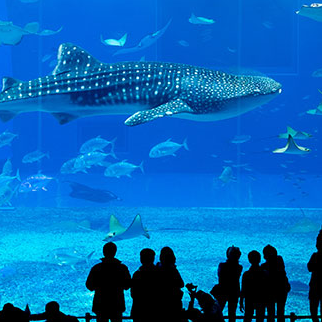 OneTravel: New Sign-up Discount