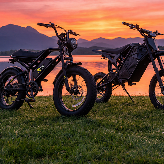 qlifebike: Save Up to $800