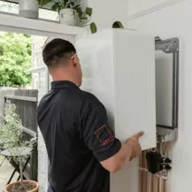 Boxt: a Year's Free Service Plan