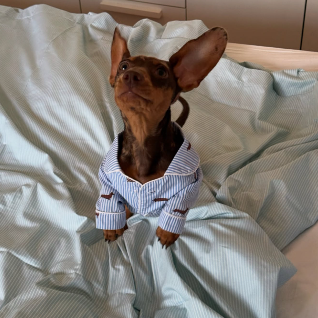 Dore & Rose: The Best Items Designed for Your Sleep Wellness