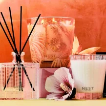 NEST New York：订购享8折