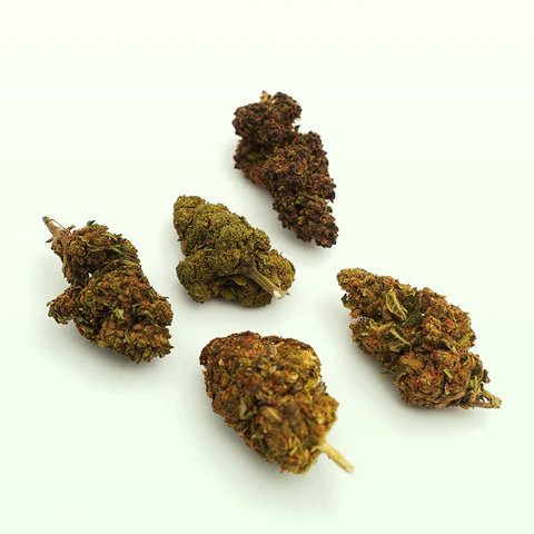 MAMA KANA CBD: 5 of the Best Varieties of CBD Flowers Pack