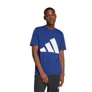 Adidas Men's Essentials Big Logo T-Shirt