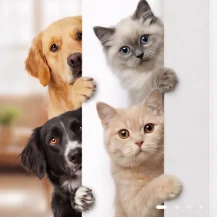 LOCKLY: Up to 50% OFF SelectT Smart Locks & Accessories