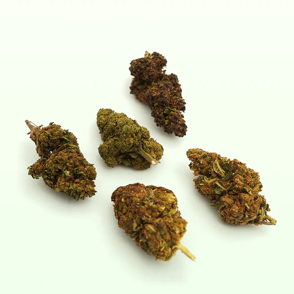 MAMA KANA CBD: Discovery Pack – 5 CBD Flower Varieties
