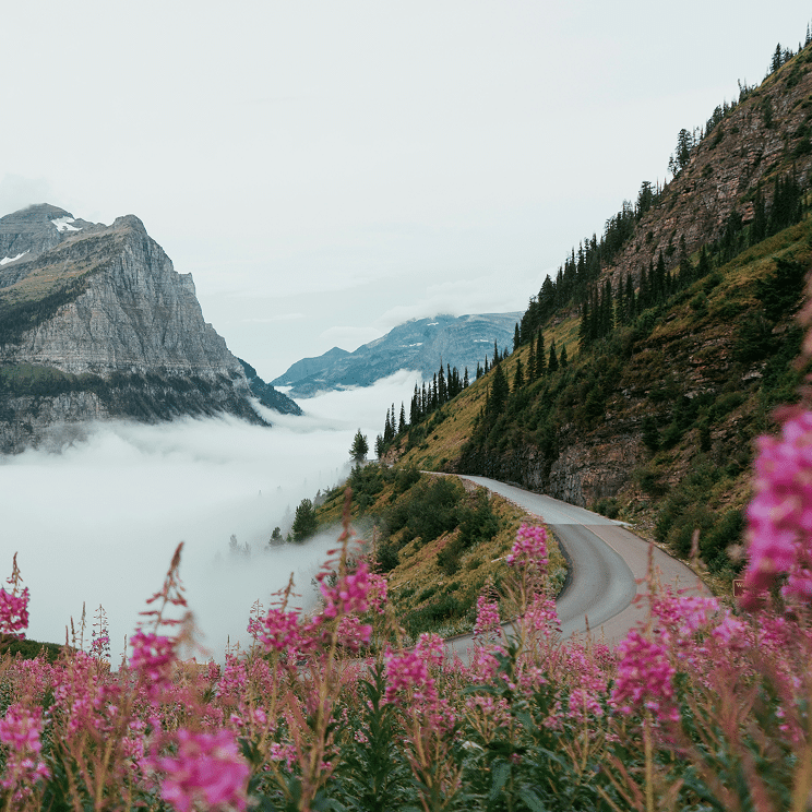 Roadtrippers: 20% OFF All Memberships