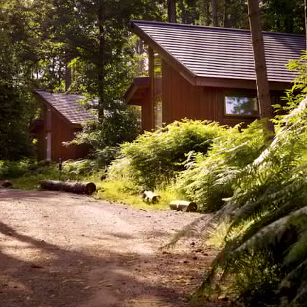 Forest Holidays: £60 OFF on Selected Breaks