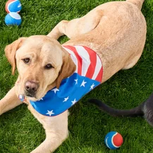 PetSmart: Memorial Day Sale