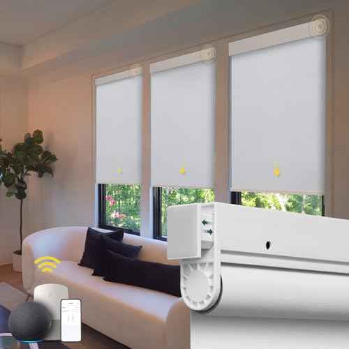 Amazon US: Hapadif Motorized Blinds No Drill Automatic Blinds for Windows Cordless Roller Shades Electric Blinds with Remote Control Smart Blinds (White, 46 x 72)