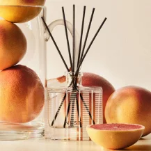NEST New York: 20% OFF on Favorite Fragrances