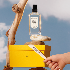 L'Occitane US: Free Shower Gel with Any Purchase of Fragrance + After-shave