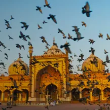 Etihad Airways US: Round trip - Economy New Delhi