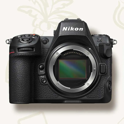 Adorama: Summer Savings Select Cameras & NIKKOR Lenses