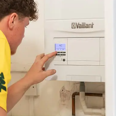 Hometree UK: Your Home Plus Plan