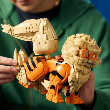 LEGO US: LEGO® Pokémon™ Toys & Sets