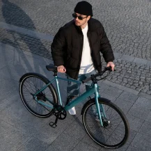 Tenways CGO600 Pro-C Electric Bike