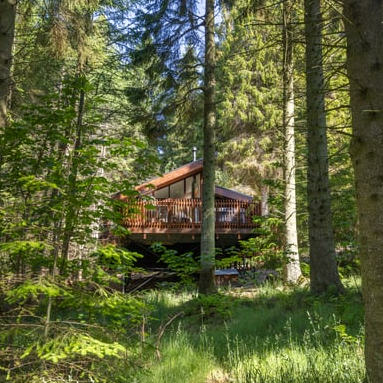 Forest Holidays: August Holidays in the UK