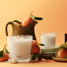 NEST New York: The Citrus Edit