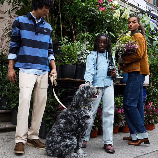 Zappos: Everything You Need This Season
